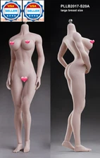 Uncensored 1/6 PHICEN S20A Female Seamless PALE Figure Body L Bust OLD STOCK