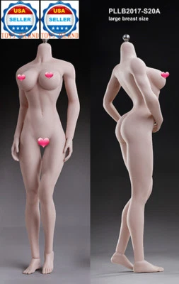 PHICEN TBLEAGUE Uncensored 1/6 PHICEN S20A Female Seamless PALE Figure Body L Bust OLD STOCK