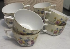 Vintage TK Thuny China Bohemia Czechoslovakia RARE tea cups Set Of 8