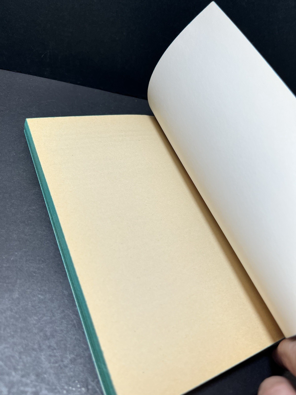 The Vision By David Wilkerson 1974 1st Printing Prophecy Doomsday Rapture