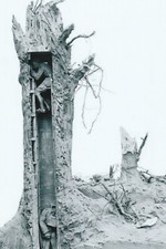 WW I  Allies    Photo    ** Soldiers Use Hollow Tree As Look Out  **