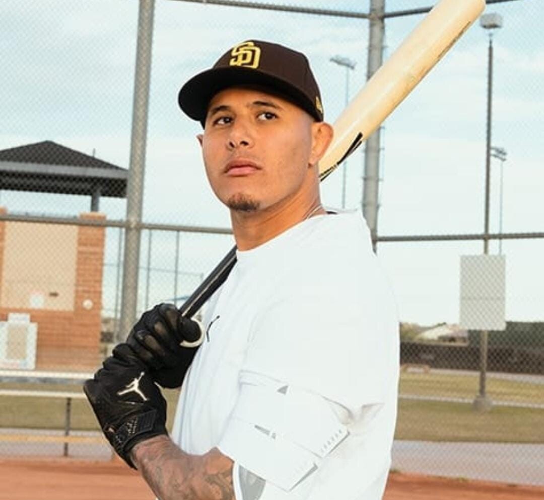 Jordan Batting Gloves Size Large Manny Manchado Aaron Judge Mookie