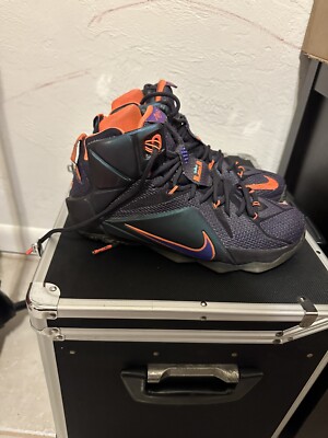 nike lebron 12 instinct