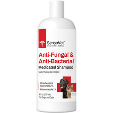 SensoVet Anti-Fungal  Anti-Bacterial Medicated Shampoo for Dogs  Cats