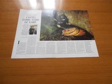 LUCIANO COTTU PESCA SUBACQUEA CAMPIONE SARDO CAMBIARE REGOLE DI PESO PREDA SUB