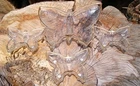 Vintage Jeanette Glass Butterfly Candy/Nut Dishes with 22K Gold Trim 4 Pieces