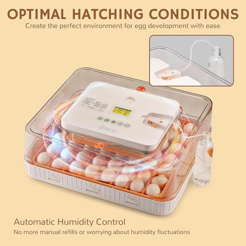 Eggs Incubator Chicken Quail Hatcher Incubators Automatic/Manual Hatching Eggs - Picture 68 of 78