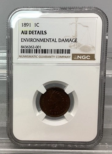 1891 Indian Head Cent Penny - NGC - AU Details - Environmental Damage