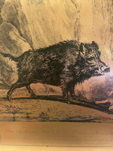 VINTAGE FRAMED COPPER ENGRAVING WILD BOAR SCENE JOHANN ELIAS RIDINGER - Picture 9 of 20