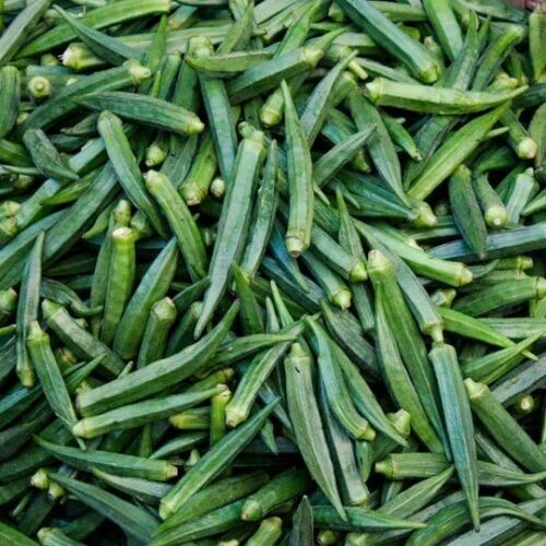 Heirloom 1.99 Vegetable Garden Seeds 250 Varieties Combined Shipping .99 NON GMO - Picture 199 of 240