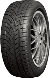 ROADX RXFROST WU01 225/55R17 97V Winter Tyre