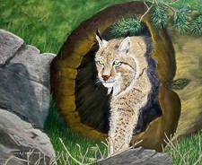 Lynx, bobcat, wild cat, mountain lion, cougar, puma, acrylic painting