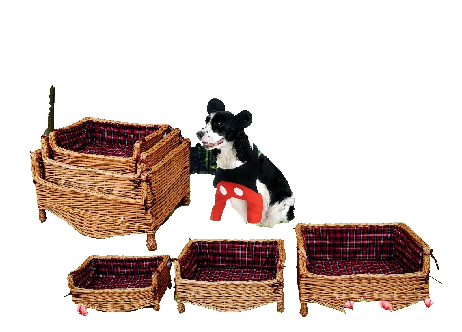 Wicker Baskets for Dogs