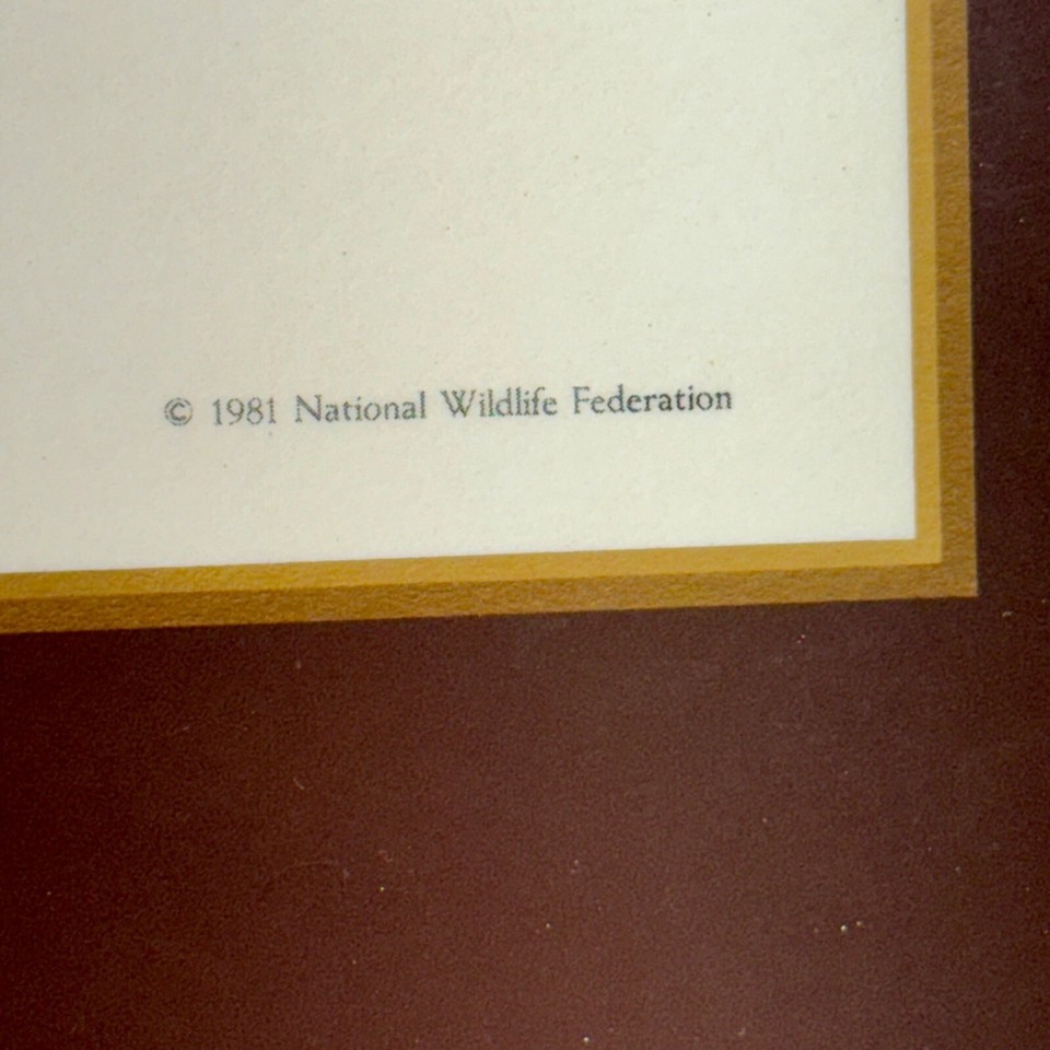 1981 Set of 4 Pimpernel Signature Collection Deluxe Duck Designs Cork