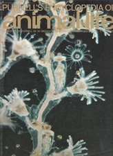 Rare-Animal Life 74-Purnell 1970-Scorpion-Scorpian Fly++-[L163]-Magazine 