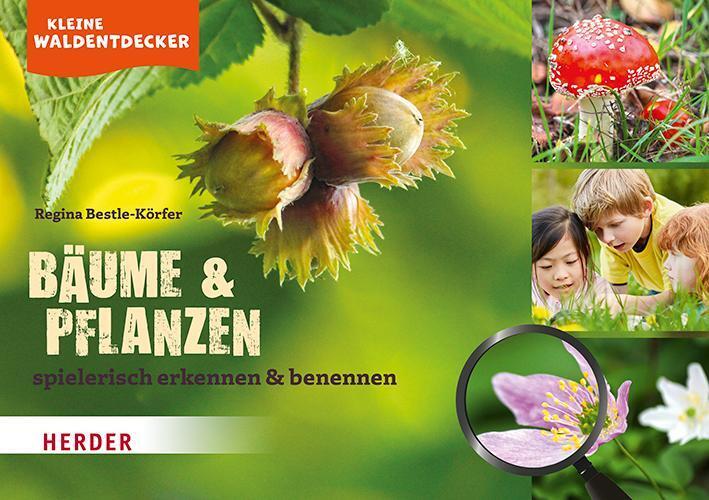 Thumbnail - Regina Bestle-körfer | Kleine Waldentdecker: Bäume & Pflanzen |