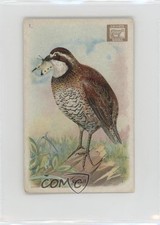 1918 Arm & Hammer Useful Birds of America Series 1 With First Note Quail #1 0l4h