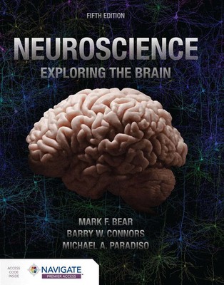 Barry Connors (u. a.) | Neuroscience: Exploring the Brain | Taschenbuch (2025)