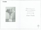 Picture 16 of 248