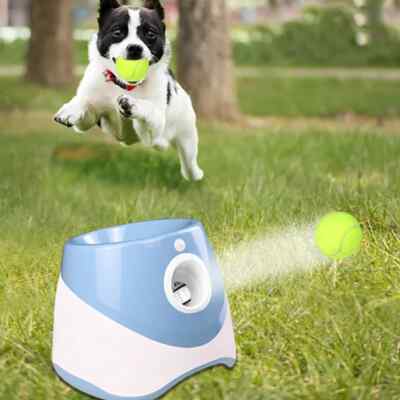 Ball Launcher Toy for Dogs Pet Products Dog Toy Keep Healthy Automatic Throw Pet