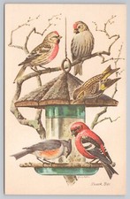 Birds at Feeder "Snack Bar", ART by Gene Klebe, 1978 Postcard 0966