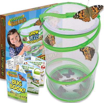 Butterfly Growing Kit - Live Caterpillar to Butterfly Project for Kids - Include