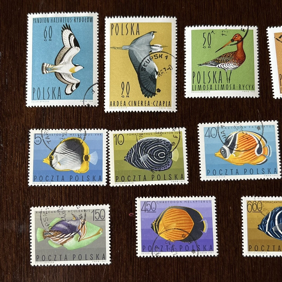 大量 波兰动物邮票 批量 所有不同的 几套 鸟类 鱼宠物 — 第 2/4 张图片