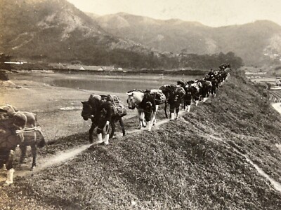 Japon Russie Guerre Russo-japonaise Vers Port-Arthur Chine 1905 Photo Stereo