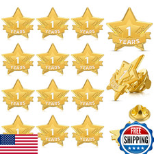 Tigeen 12x Year Service Star Enamel Pins Award Lapel Employee Volunteer Gift