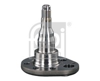 Achszapfen AchskÖRper Hinten Rechts Febi Bilstein 18348 FÜR Seat VW