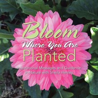 Sheila Henley | Bloom Where You Are Planted | Taschenbuch | Englisch (2017)