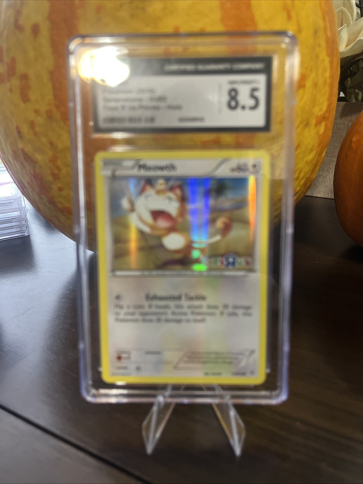 Pokemon TCG CGC 9 Meowth 53/83 2016 Toys R Us Promo Holo