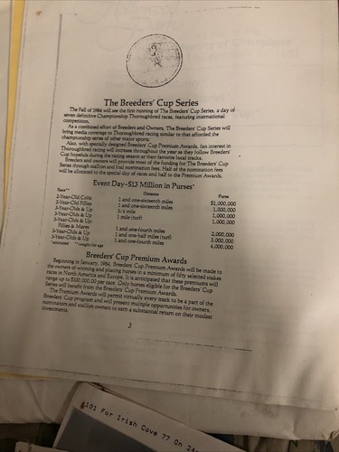 Equinox Bloodstock Information Race Horses Meneval Information And Breeding Info - Picture 11 of 24