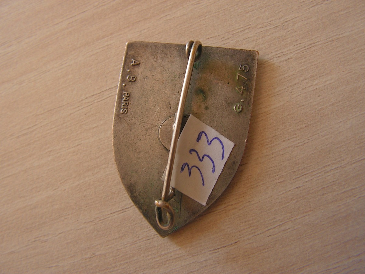 Insigne Badge Secours Mutuels Des Ormes - Vienne - Email, Occasion