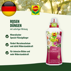 Bild 8 von 9