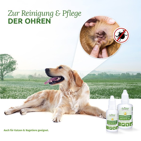 Aniforte OhrmilbenöL 20Ml FüR Hunde, Katzen, Nagetiere Und Haustiere, Chemiefrei-image