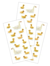 Swimming Ducks Stickers Planner Supply Papercraft Scrapbook Farm Animals