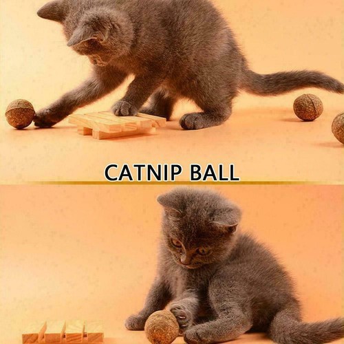 Cat Snack Catnip Ball Lick Nutrition Ball Molar Cat Cleaning Snacks B5L0.AU - Picture 9 of 11