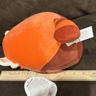 Foto 3 di 8