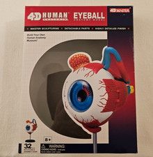 Eyeball Anatomy Model Human, Medical, Healthcare