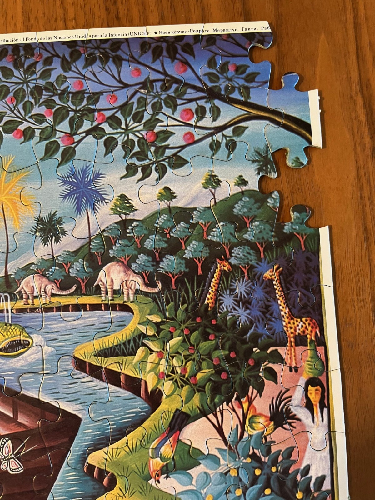 Picture 4 of 22