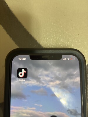 iPhone 12 Pro Max With TikTok!!!!!!!