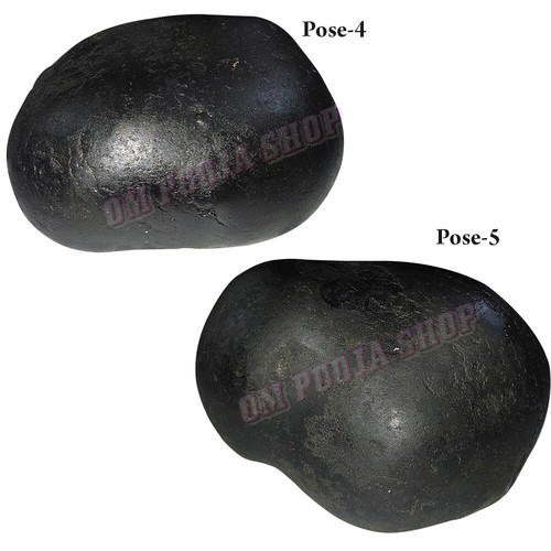 Varaha Mukh Nepal River Shaligram Stone 490 grams OmPoojaShop - Picture 4 of 5