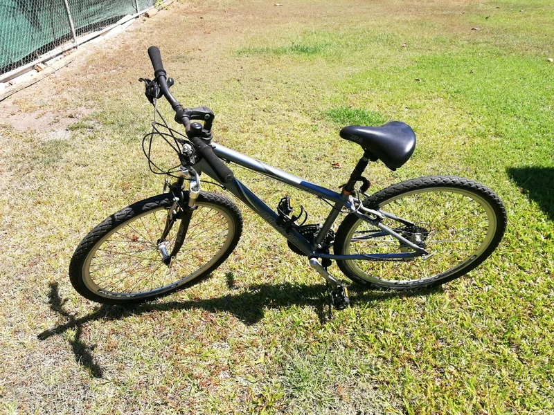 gumtree ladies mountain bike