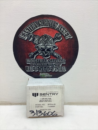 Sentry Pressure Regulator/Relief Valve BPRVA-60 60psi NIB - Picture 9 of 9