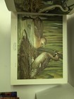 Bild 5 von 12
