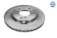 2X Meyle Bremsscheibe 015 521 2030 FüR Mercedes Klasse W168 140 168 031 131 160