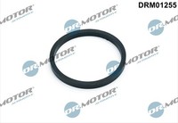 Dr.Motor Automotive DRM01255 Dichtung, ÖLküHler For Audi Ford Seat Skoda VW
