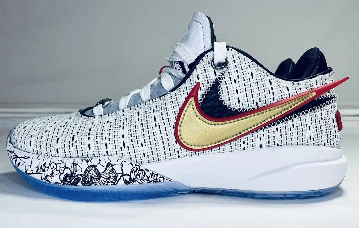 The Kids Exclusive Nike LeBron 21 SE Multi-Color Releases November 17