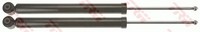2X StoßDäMpfer Hinten TRW JGT1216T FüR Peugeot